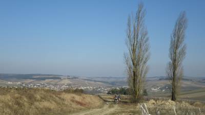 La Bonne Trace 2012