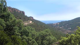 VTT dans le Massif de l'Estrel