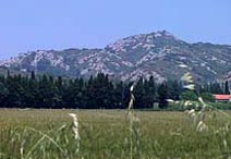 St Andiol et les Alpilles