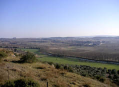 Garrigue et vignes  Montady