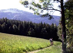 St Nizier du Moucherotte - Grenoble