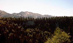 La Chapelle en Vercors - Correnon en Vercors