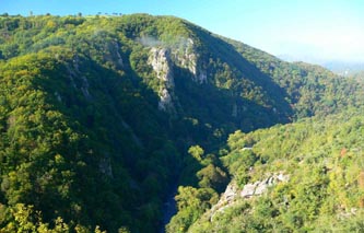 Gorges de la Sioule et foret des colettes