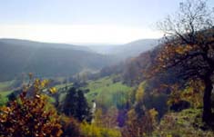 Le parc naturel des Vosges du nord