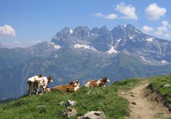 Boucle Chatel - Morgins - cols de Chsery et Bassachaux