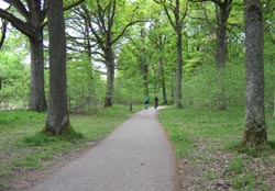 La Foret de Rambouillet