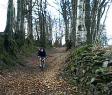 Les monts du Somail - Fort domaniale de l'espinousse, monts de Lacaune