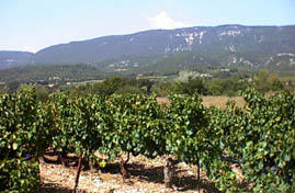 The Luberon