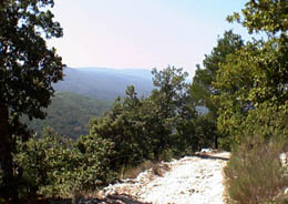 Manosque  Rustrel