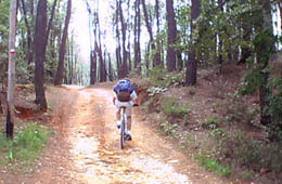 Rustrel - Roussillon - Murs