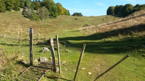 GTJ Les Molunes - St Germain de Joux