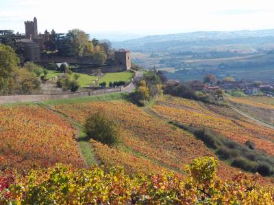 Randonne Vaux en Beaujolais