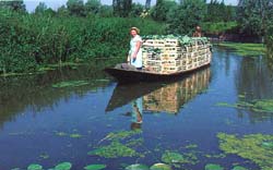 Le Marais Audomarois