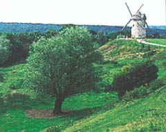 Le Mont Cassel