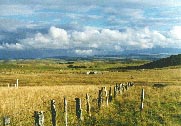 Grand tour de l'Aubrac, boucle sud, (GR balis)