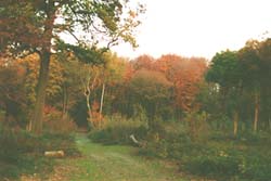 VTT en fort de St Germain en Laye